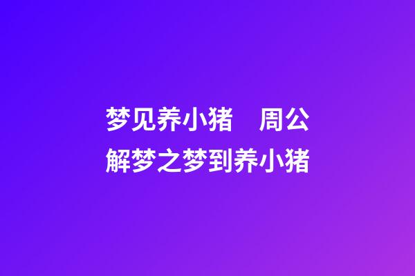 梦见养小猪　周公解梦之梦到养小猪